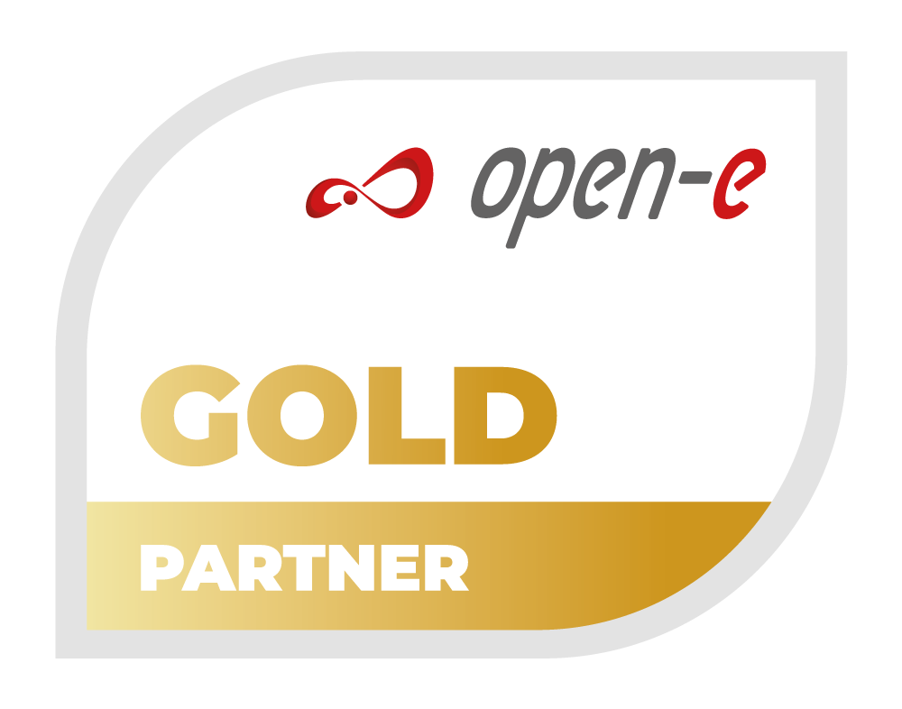 Open-E Gold Partner Badge Picture