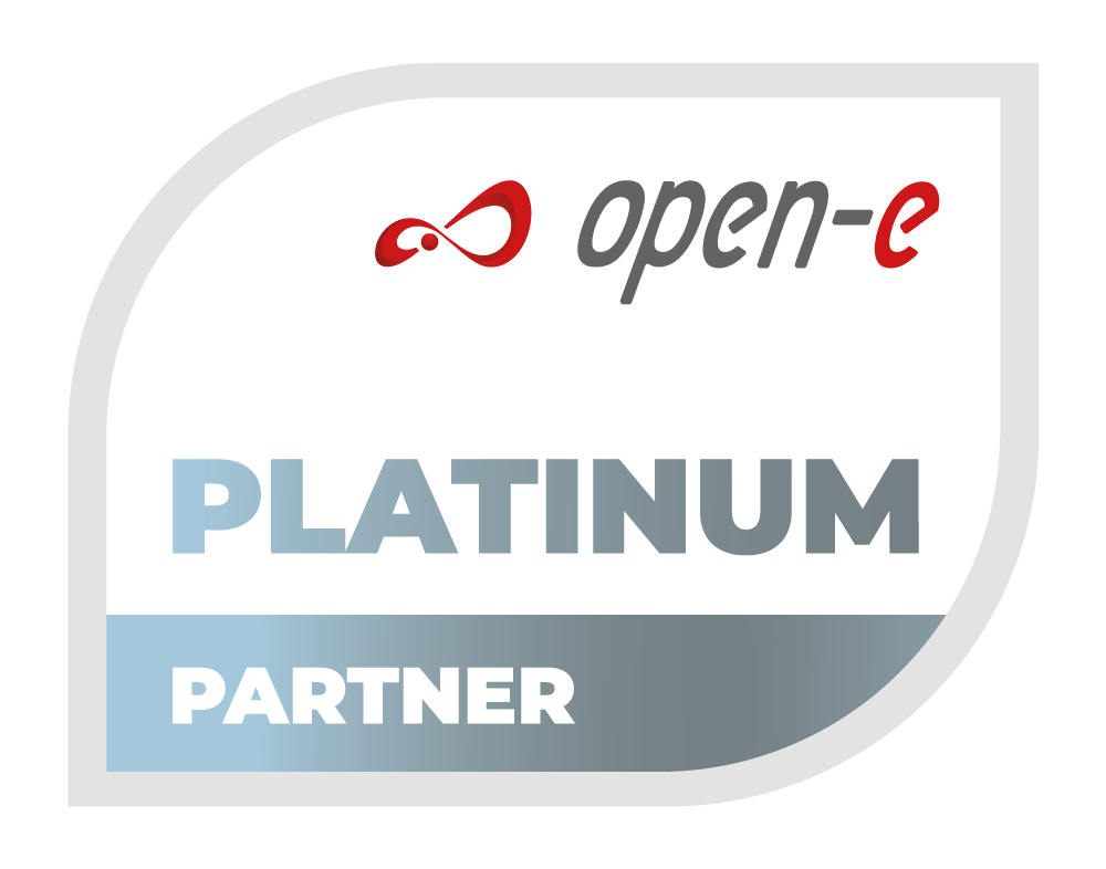 Open-E Platinum Partner Badge Picture